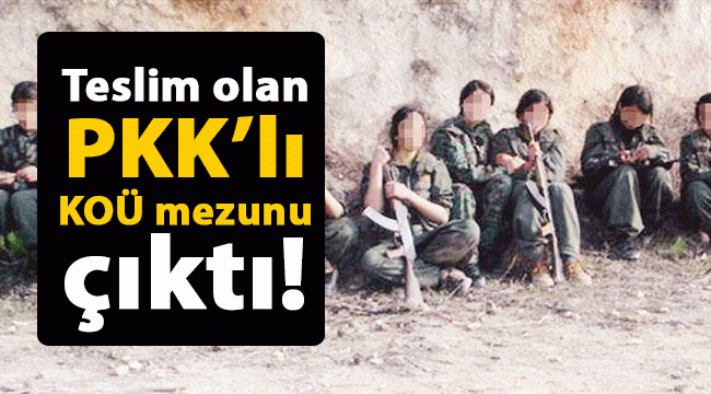 Teslim olan PKK'lı KOÜ mezunu çıktı!