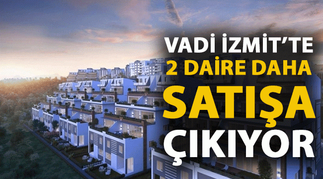 vadi izmit te 2 daire daha satisa cikiyor mavi kocaeli gazetesi