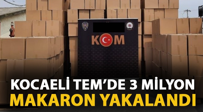 Anadolu Otoyolu'nda 3,3 milyon kaçak makaron ele geçirildi