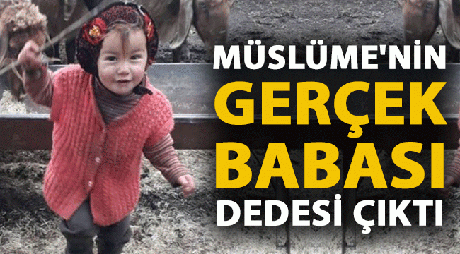 muslume nin gercek babasi dedesi cikti mavi kocaeli gazetesi