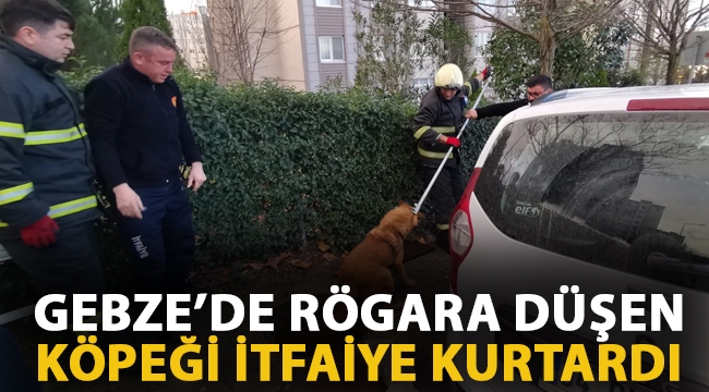 Gebze'de rögara düşen köpeği itfaiye kurtardı